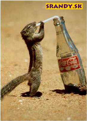 Kazdy ma rad Coca-colu...